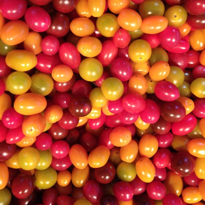 Multicolor Cherry Tomato