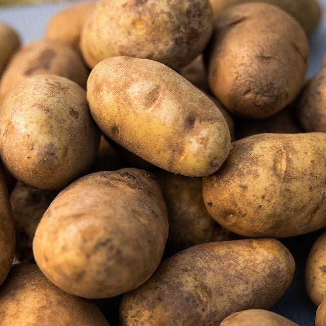 Russet Potatoes - Each (~0.6 lbs)