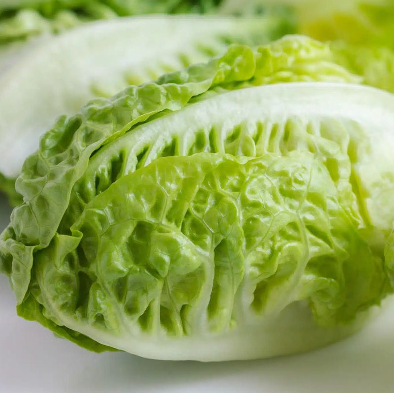 Organic Little Gem Lettuce
