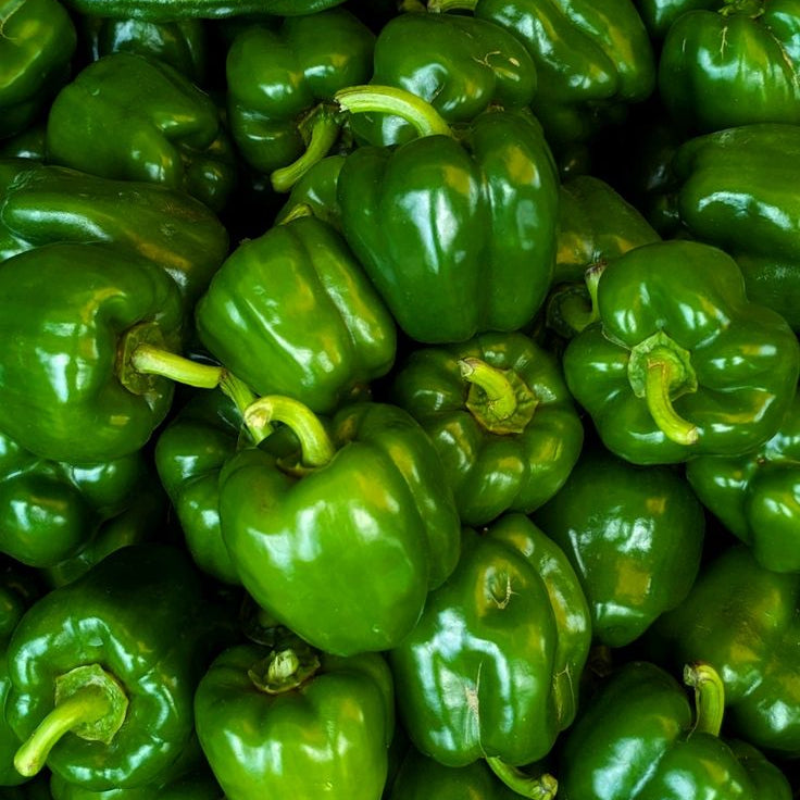 Organic Large Green Bell Peppers
