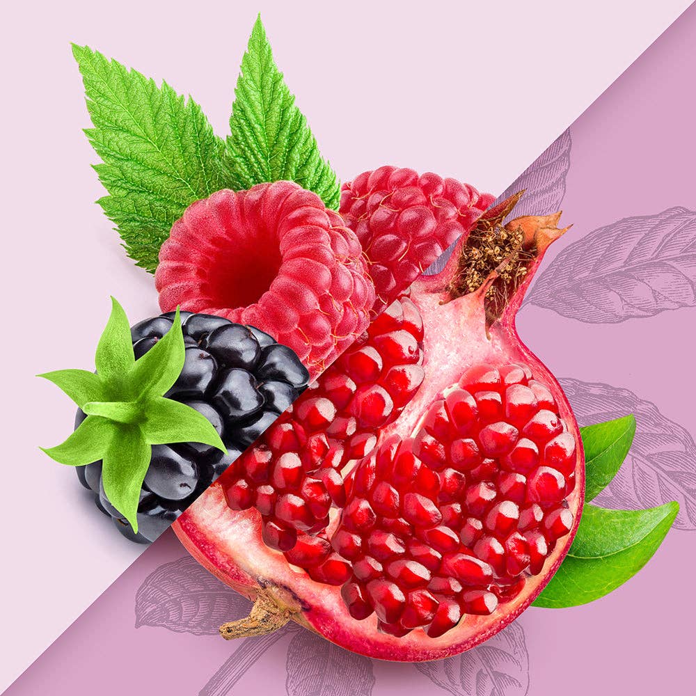 Adaptogen Infused Wild Berry & Pomegranate Yerba Mate 16 oz – Sir Inkwell Health Curiosities