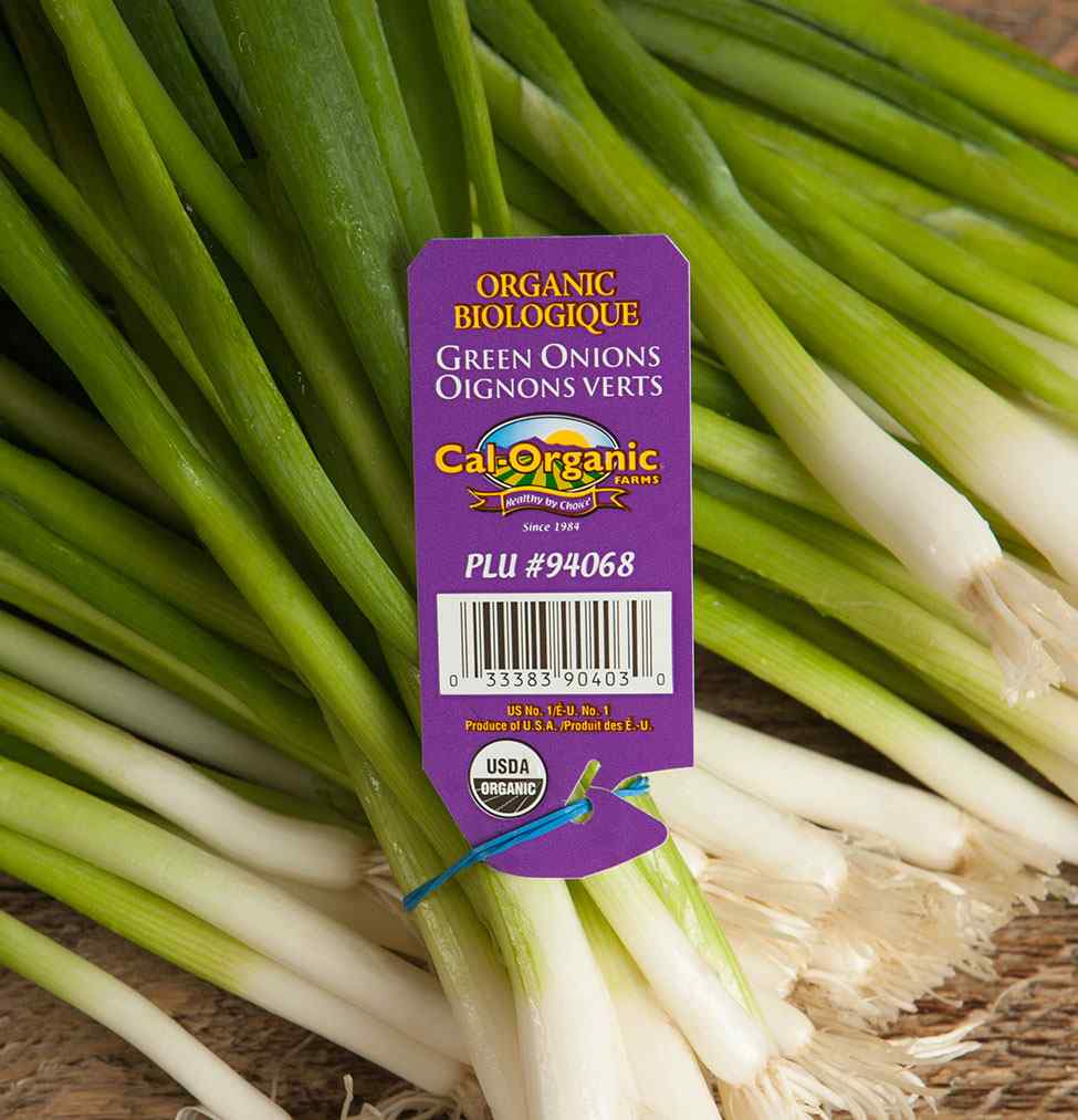 Organic Green Onions (Scallions) – Cal Organic | Grill House