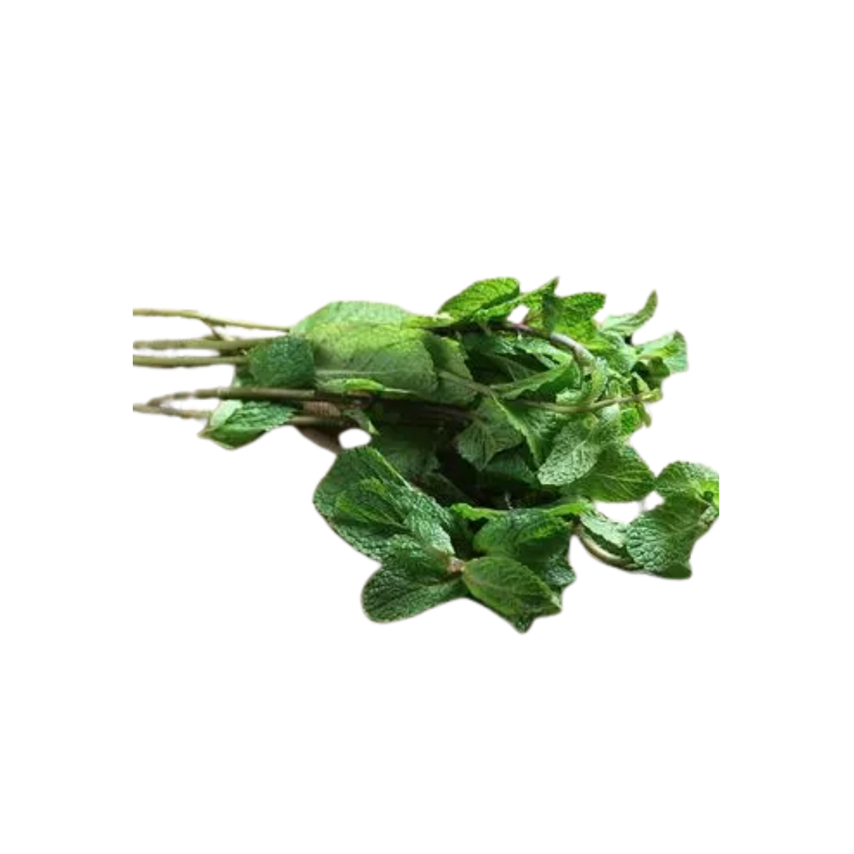 Organic Mint 0.75 oz - Apricot Lane Farms
