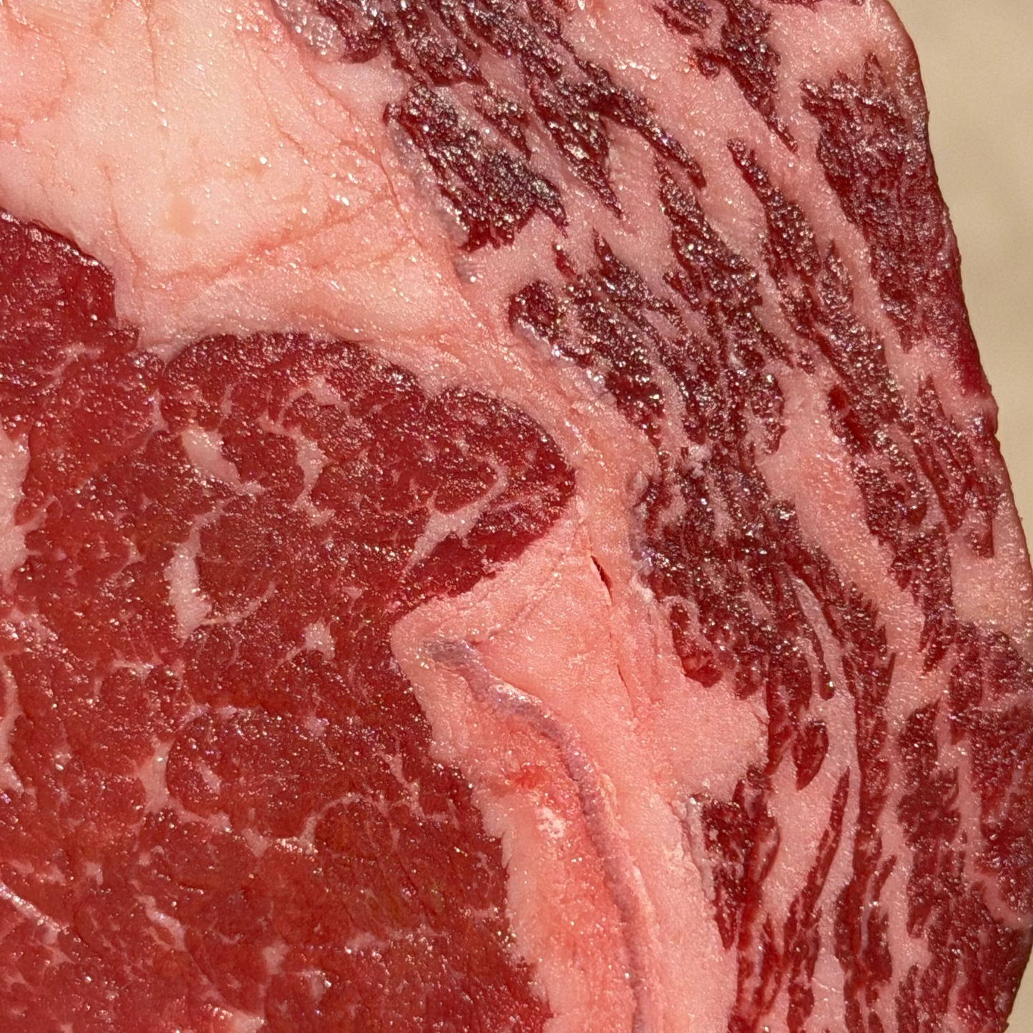 Bone In Prime Ribeye - Certified Angus Beef