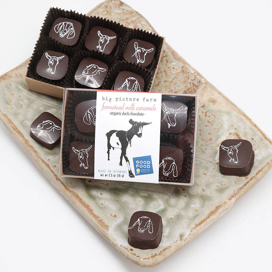 Chocolate Covered Goat Milk Caramel 2.5 oz – Big Picture Farm