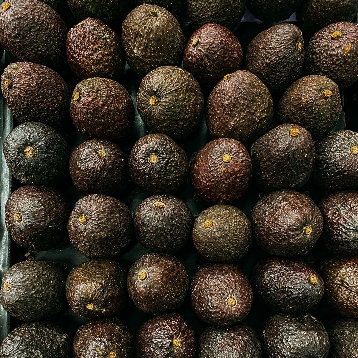 Hass Avocado - Each (~0.4 lbs)
