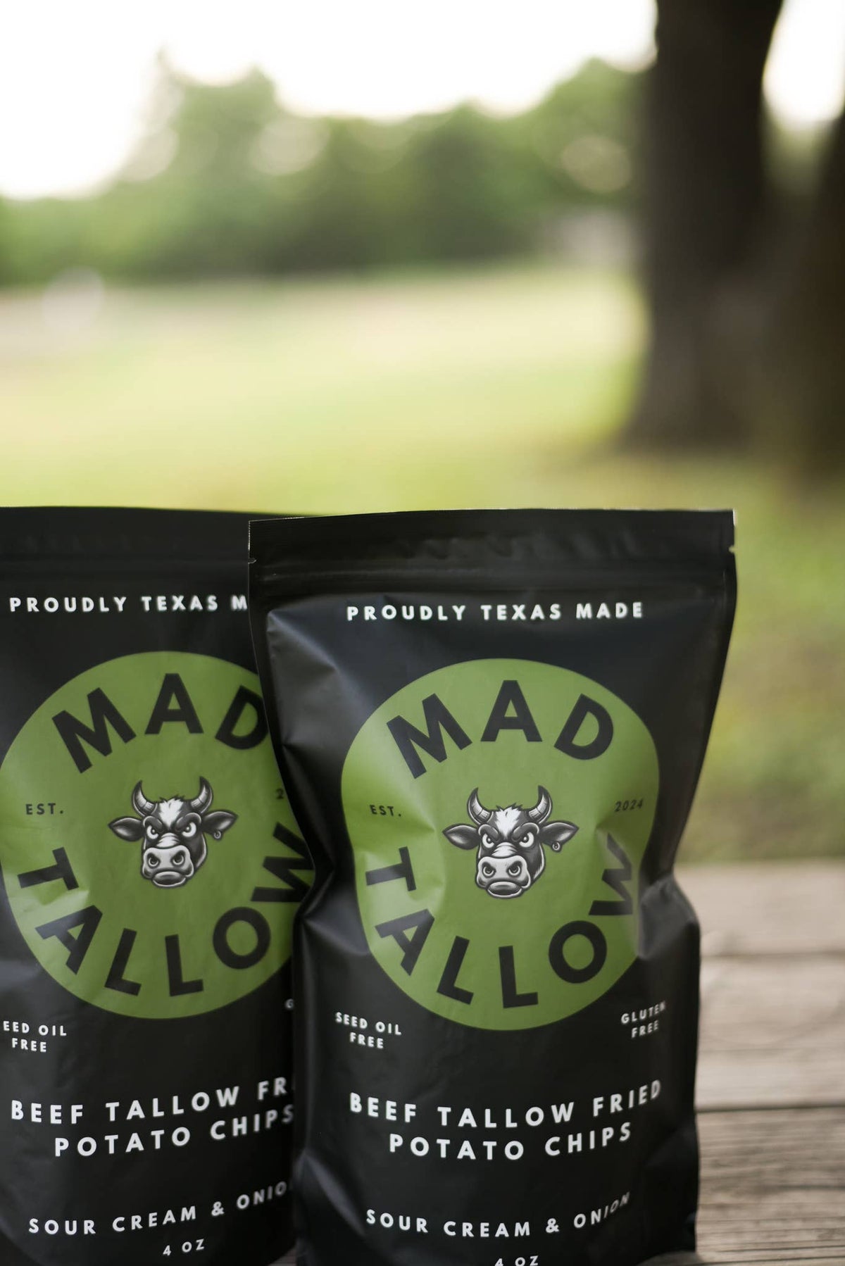 Space City Sour Cream & Onion Beef Tallow Chips 4oz - Mad Tallow