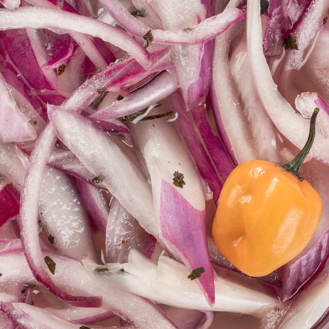 Pickled Habanero Red Onion 8 oz – El Machete