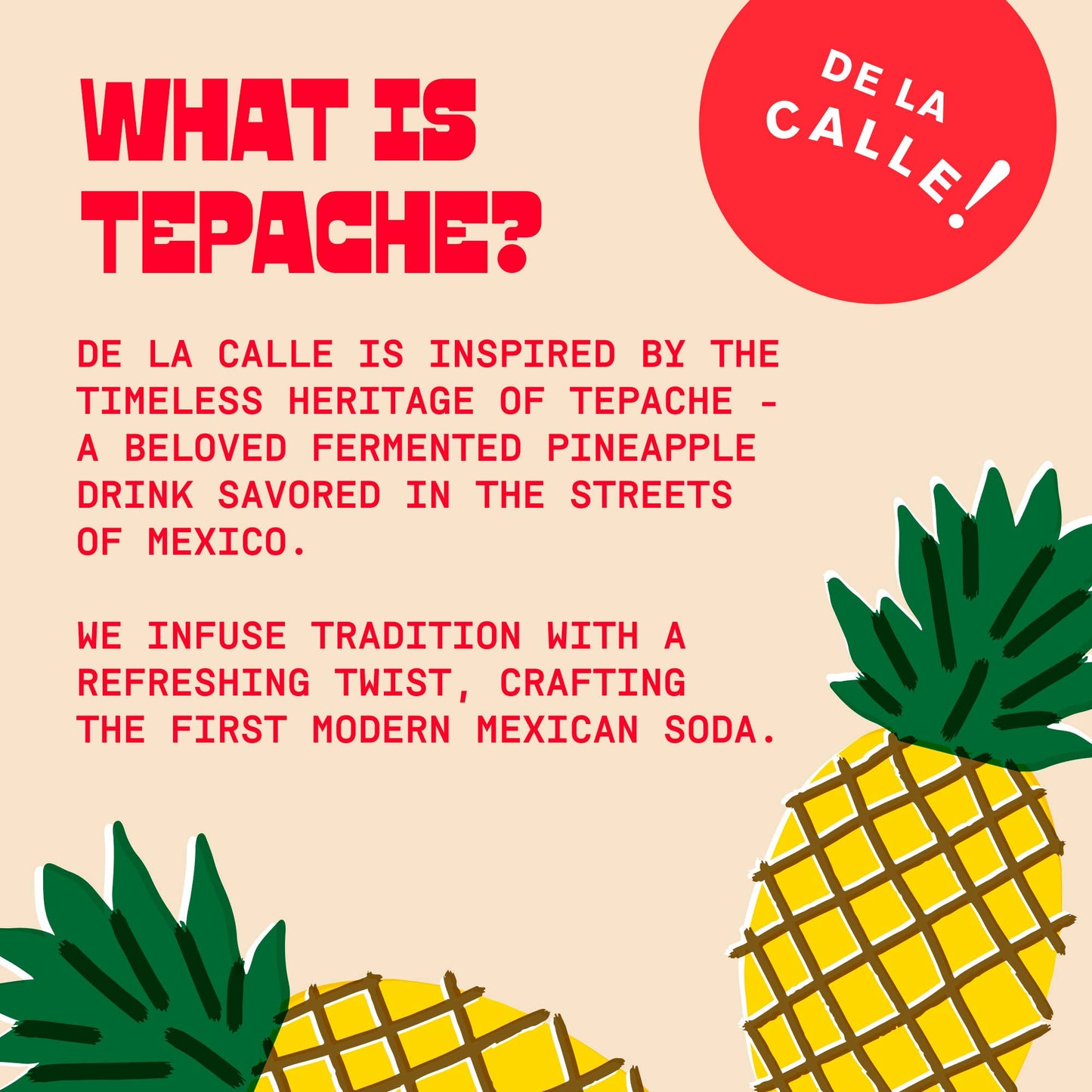 Strawberry Citrus Tepache Mexican Soda 12oz - De La Calle