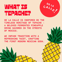 Strawberry Citrus Tepache Mexican Soda 12oz - De La Calle