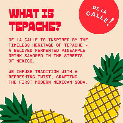 Strawberry Citrus Tepache Mexican Soda 12oz - De La Calle