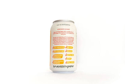 Hibiscus Ginger Kombucha 12 oz – Fermensch Kombucha
