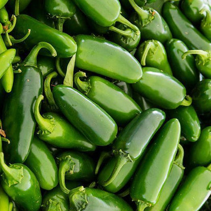 Chile Jalapeno - Each (~0.1 lbs)