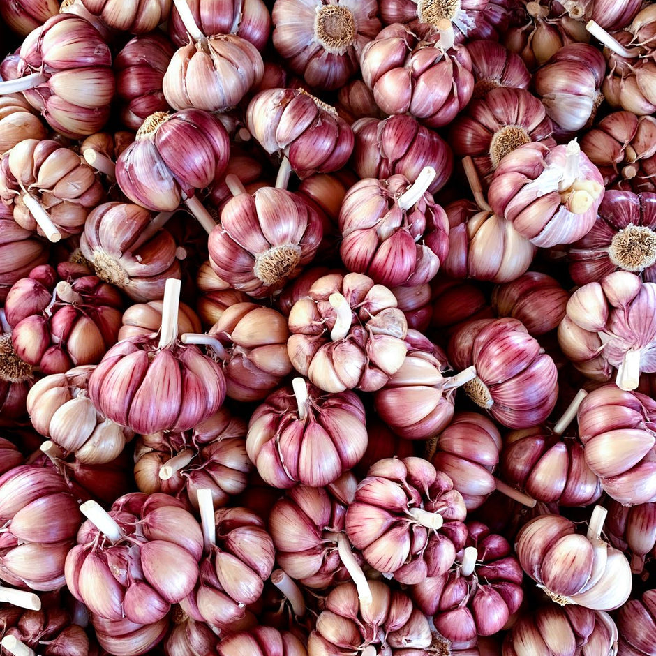 Garlic Certified Organic & Biodynamic - Milliken Farms