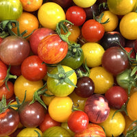 Multicolor Cherry Tomato