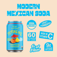 Tepache Tropical Ponche Mexican Soda 12oz - De La Calle