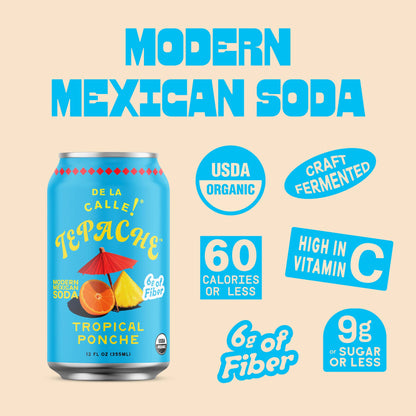 Tepache Tropical Ponche Mexican Soda 12oz - De La Calle