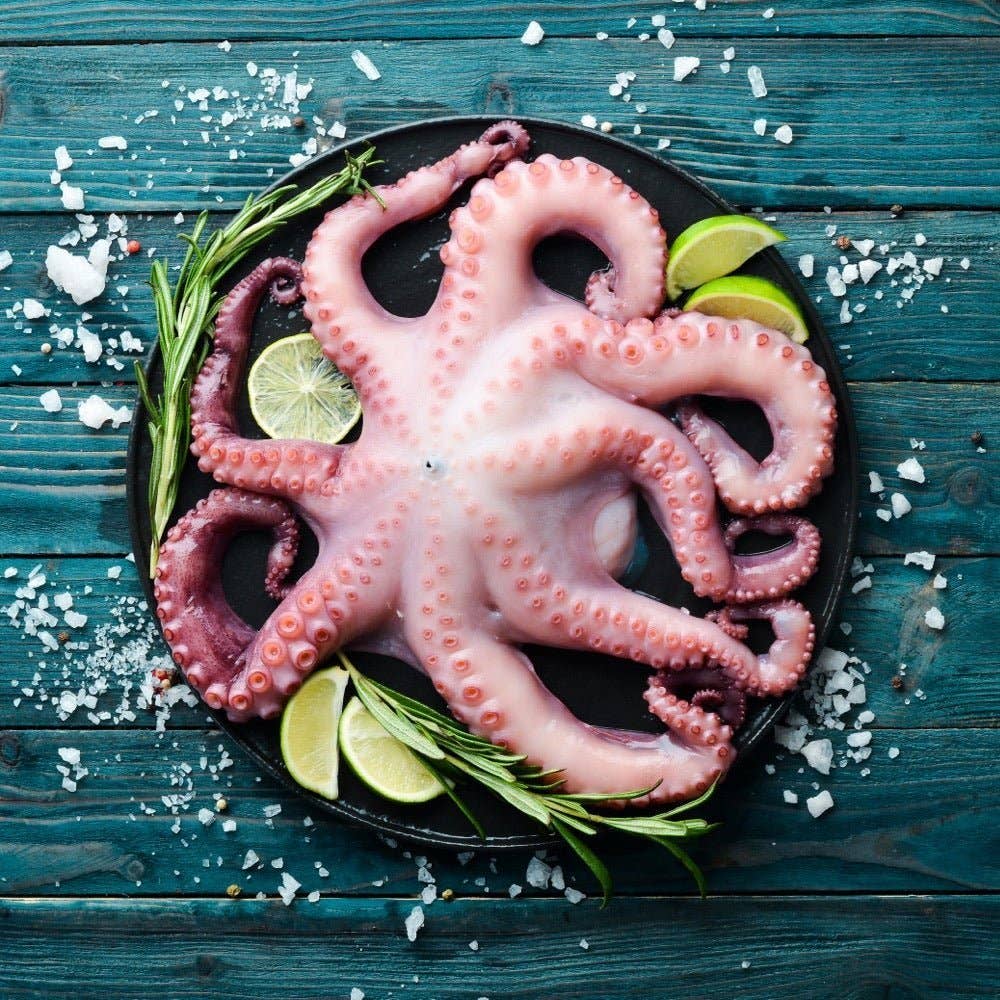 Octopus Flower Pack 6 lb – All Fresh Seafood