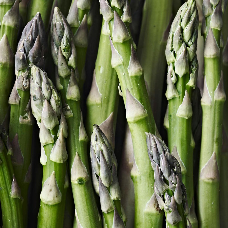 Asparagus - Each (~0.9 lbs)