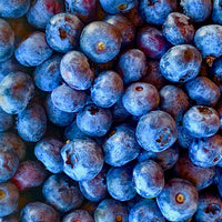 Blueberry Maple Syrup 12 oz – Tree Juice Maple Syrup