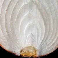 White Onion - Each (~0.85 lbs)