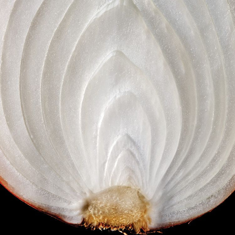 Yellow Onion - Each (~0.7 lbs)