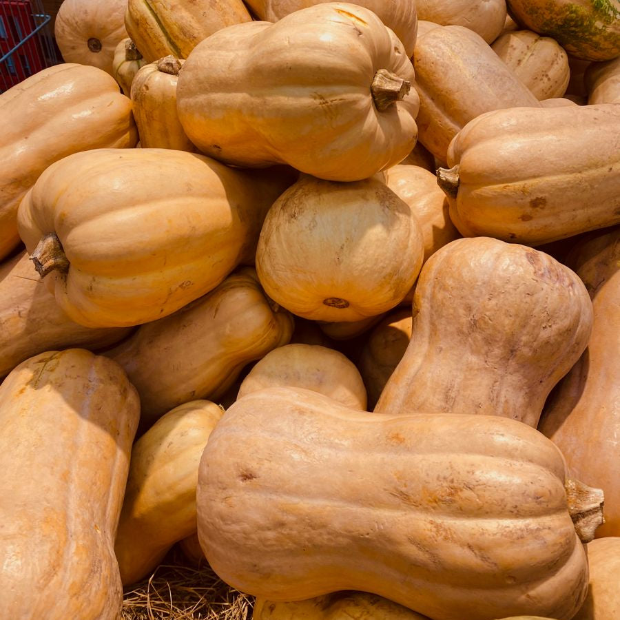 Butternut Squash 2.7 lbs – Fresh Produce