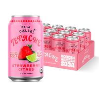 Strawberry Citrus Tepache Mexican Soda 12oz - De La Calle