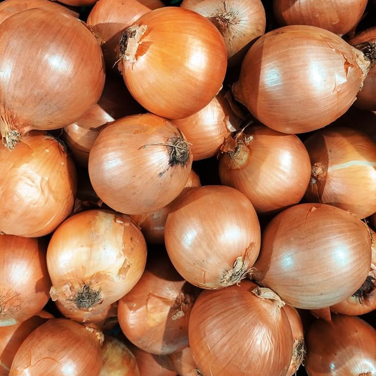Yellow Onion - Each (~0.7 lbs)