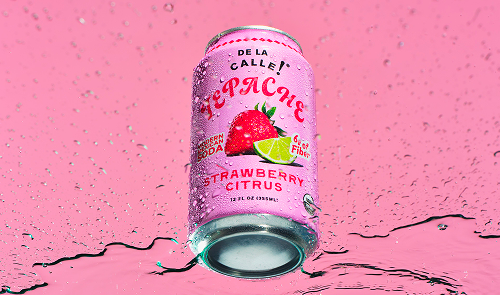 Strawberry Citrus Tepache Mexican Soda 12oz - De La Calle