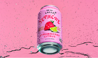 Strawberry Citrus Tepache Mexican Soda 12oz - De La Calle