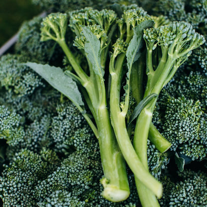 Broccolini