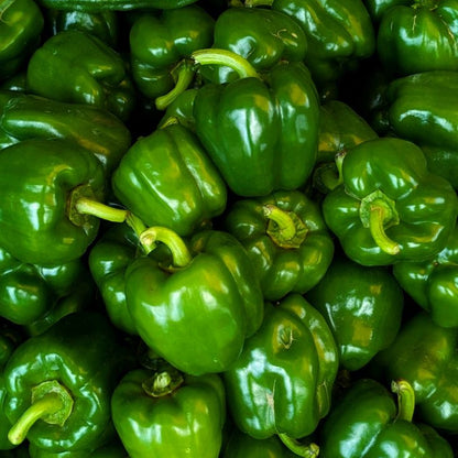 Organic Large Green Bell Peppers