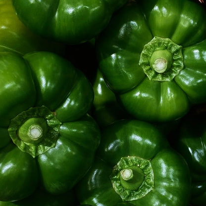 Organic Large Green Bell Peppers
