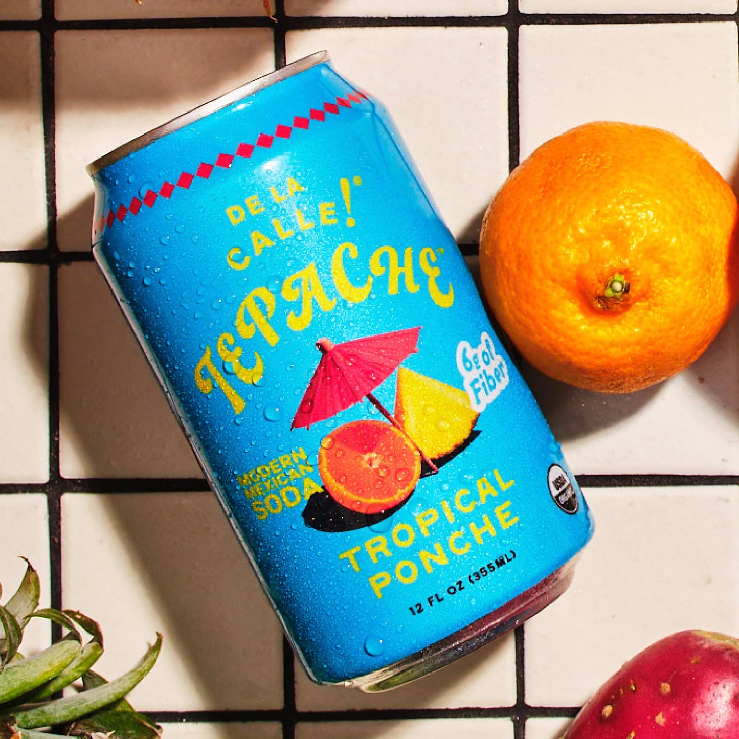 Tepache Tropical Ponche Mexican Soda 12oz - De La Calle