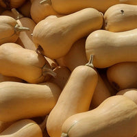 Butternut Squash 2.7 lbs – Fresh Produce