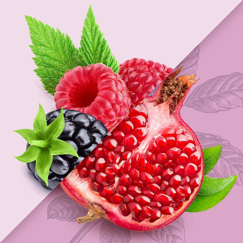 Adaptogen Infused Wild Berry & Pomegranate Yerba Mate 16 oz – Sir Inkwell Health Curiosities