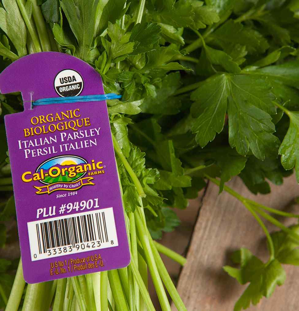 Organic Italian Parsley (Flat) – Cal Organic | Grill House