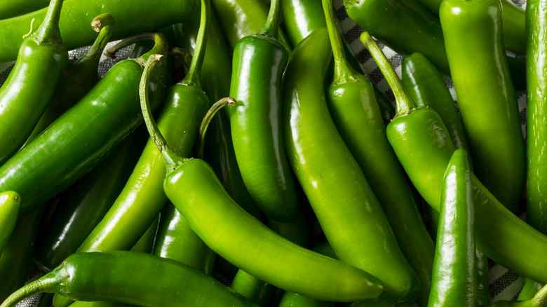 Chile Serrano Peppers | Grill House
