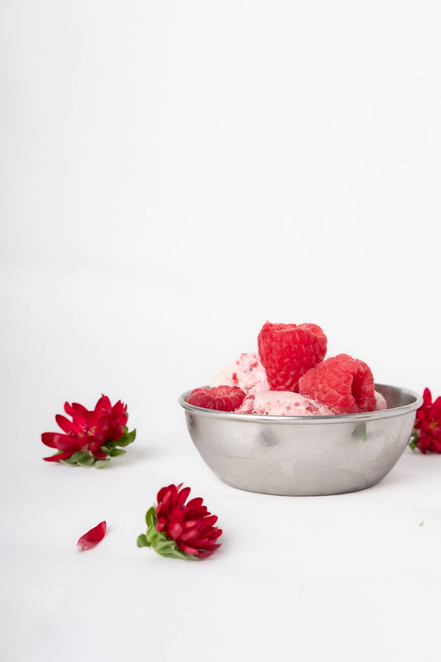 Sheep's Milk Frozen Yogurt Raspberry 14oz - Le Zette