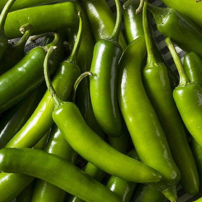 Chile Serrano Peppers - Each (~0.03 lbs)