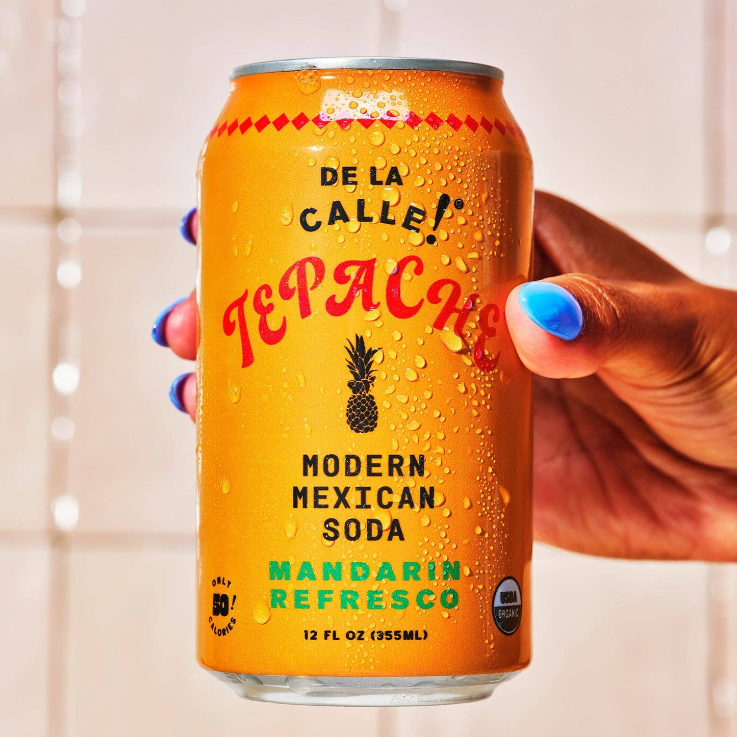 Mandarin Refresco Tepache Fermented Beverage 12 oz – De la Calle