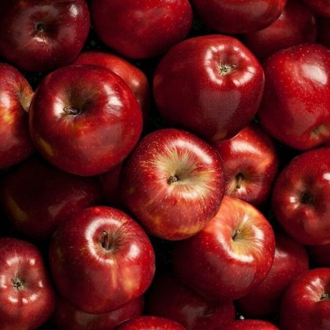 Cosmic Crisp Apple 0.45 – Fresh Produce