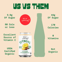 Pineapple Spice Tepache Mexican Soda 12oz - De La Calle