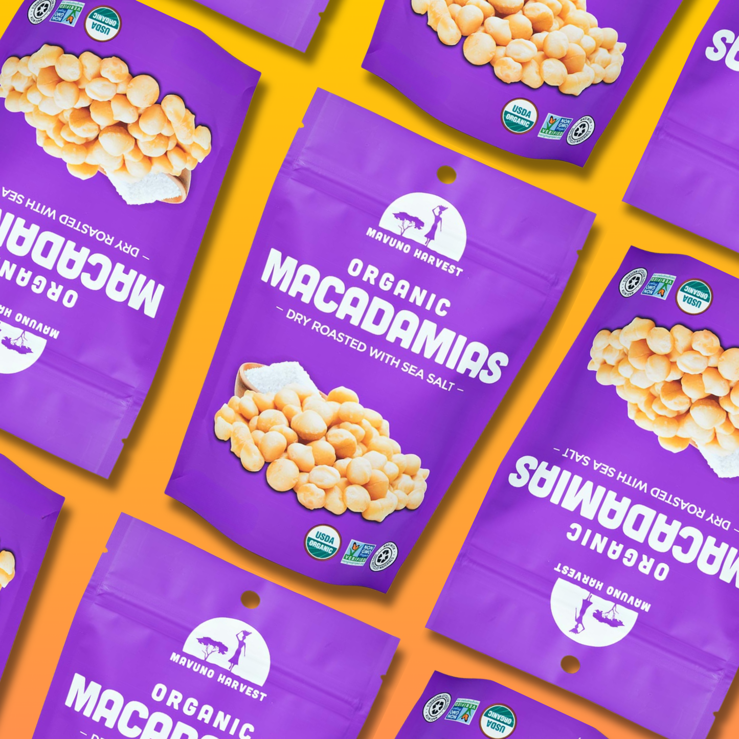 Dry Roasted Macadamias with Sea Salt 4 oz – Mavuno Harvest Organics