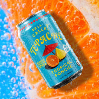 Tepache Tropical Ponche Mexican Soda 12oz - De La Calle