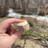 Freeze Dried Fire Roasted S'mores 3 oz – Base Camp Treats
