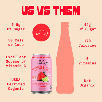Strawberry Citrus Tepache Mexican Soda 12oz - De La Calle