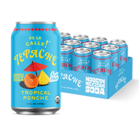 Tepache Tropical Ponche Mexican Soda 12oz - De La Calle
