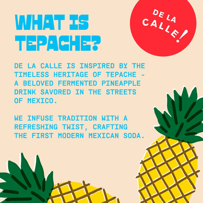 Tepache Tropical Ponche Mexican Soda 12oz - De La Calle